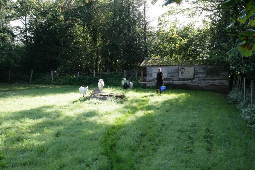 Le Petit Mas D'Ile Panzió Saint-Germain-de-Confolens Kültér fotó